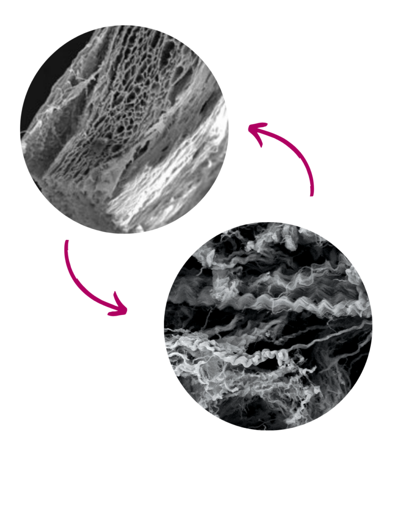 shelter microscope