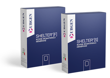SHELTER (1)